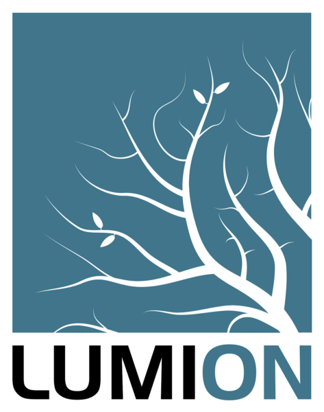 lumion 3d logo